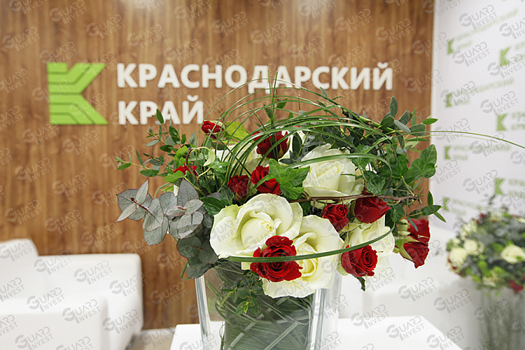 mg_7736.jpg